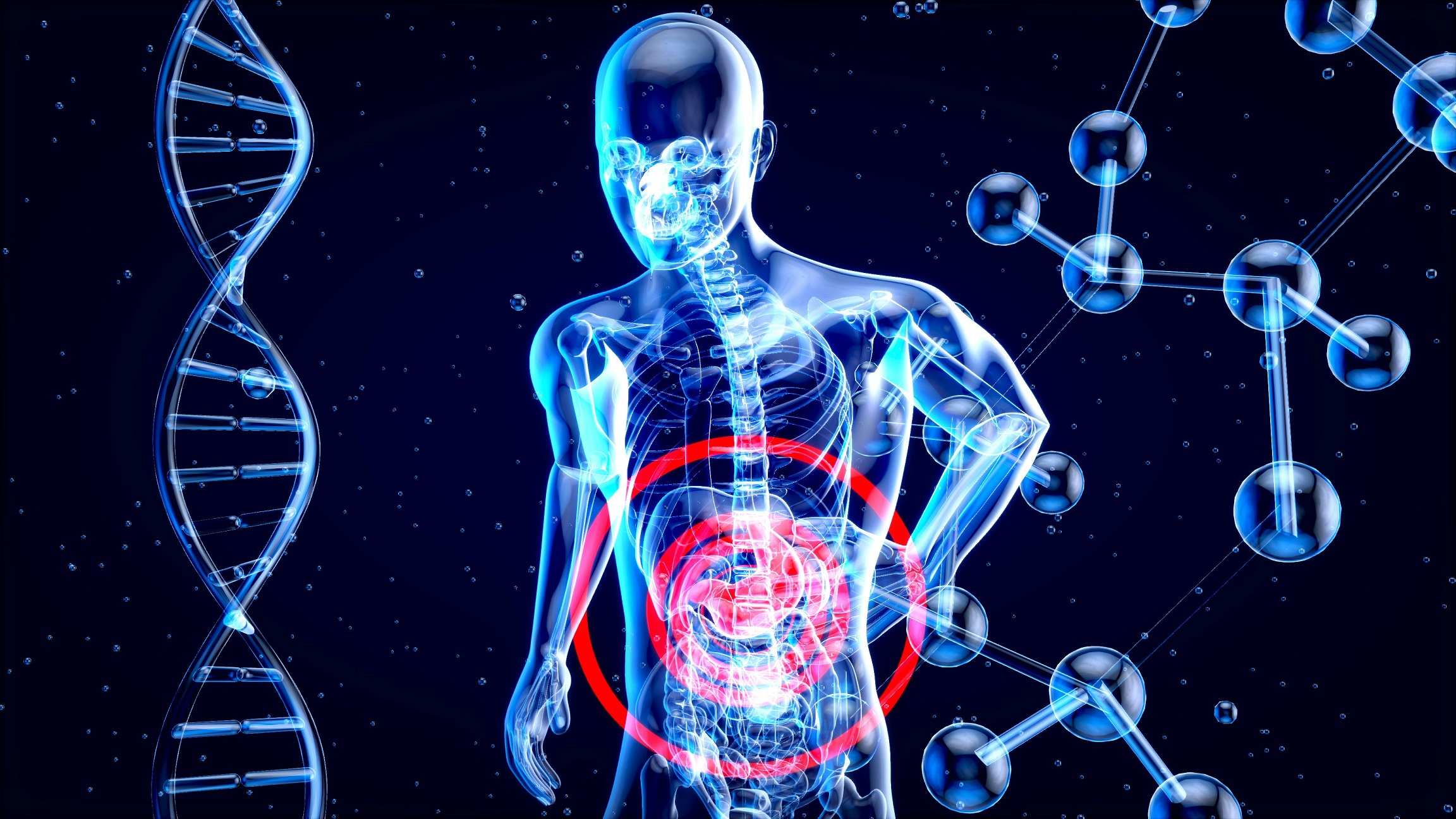 liver-2