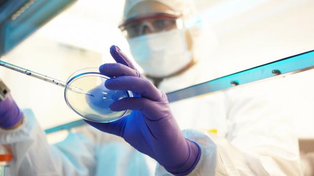 Medical researcher observing petri dish 